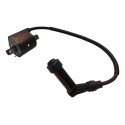 Bobinas Ignição Citycom 300i 2012 A 2019