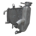 Radiador Fz6 Fazer600 C/recuperado