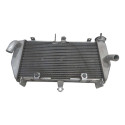 Radiador Fz6 Fazer600 C/recuperado