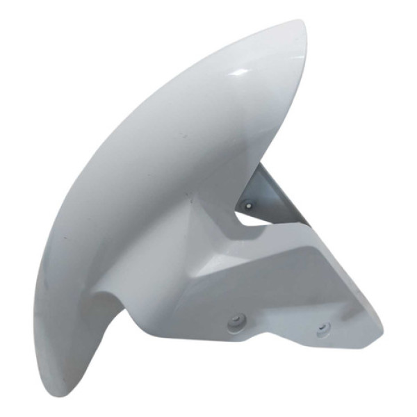 Paralama Dianteiro Bmw S1000rr 2015 2016 2017 A 2019 Dianteira Esquerda