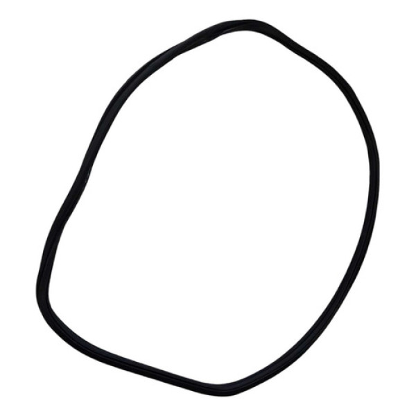 Borracha Porta Traseira Esquerda Nivus Polo Track 20 A 24 Prateado